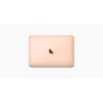 Apple MacBook 12'' Led Ci5 8GB 512GB SSD Oro