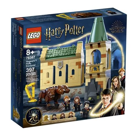 LEGO® Harry Potter Momento Hogwarts™: Clase de Transfiguración