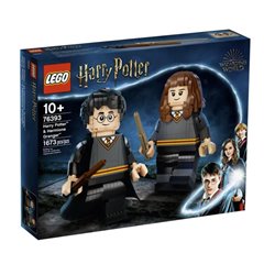 Lego Harry Potter - Harry Potter y Hermione Grange - 76393