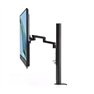 Asus ZenScreen MB249C 24'' FHD IPS USB-C 5ms Antirreflejo Altavoces + Soporte (Outlet)