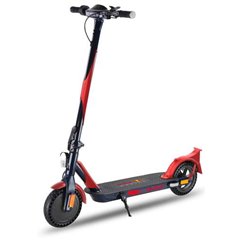 Red Bull Racing Race Teen 10'' 350W (max 500W) 36V 7.5Ah 25KM/h RTEEN10-75-ES-R - DGT (Outlet)