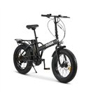 Nilox X5 Pro eBike Bicicleta Electrica 25Km/h Ruedas FAT 20'' 250W 60Km Autonomia + Luces (Nueva Carton Exterior Deteriorado, Pr