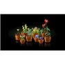 LEGO Botanicals - Planta Diminutas - 10329