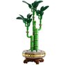 Lego Botanicals - Bambú de la Suerte - 10344
