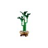 Lego Botanicals - Bambú de la Suerte - 10344