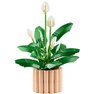 Lego Botanicals - Lirio de la Paz - 11504