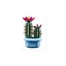 Lego Botanicals - Cactus en Flor - 11509
