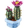 Lego Botanicals - Cactus en Flor - 11509