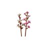 Lego Botanicals - Flores de Cerezo - 40757