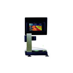 Balanza Epelsa TouchScale 20I EVO - 15 / 9 Windows 15kg / 5gr 