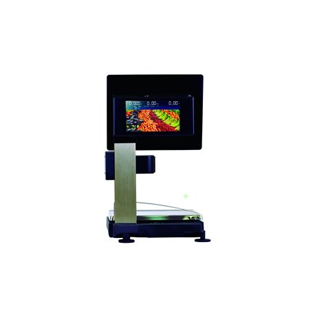 Balanza Epelsa TouchScale 20I EVO - 15 / 9 Windows 15kg / 5gr 