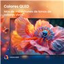 Hisense 50E7Q QLED Smart TV 50'' 4K Wifi Television